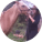 luciane