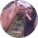 luciane